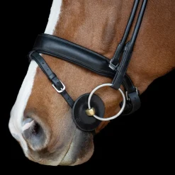 Acavallo Contour Bit Guards Pair