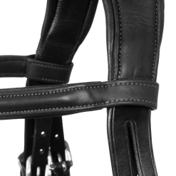 Acavallo Filosofia Bridle Calfskin