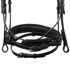 Acavallo Filosofia Bridle Calfskin
