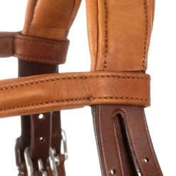 Acavallo Filosofia Bridle Calfskin