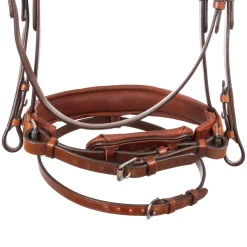 Acavallo Filosofia Bridle Calfskin