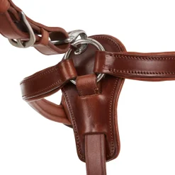 Acavallo Five-Point Breastplate Calfskin