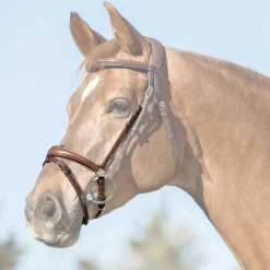 Acavallo Flash Noseband Quick Coupling