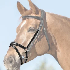 Acavallo Flash Noseband Quick Coupling
