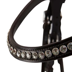 Acavallo Poesia Bridle Calfskin