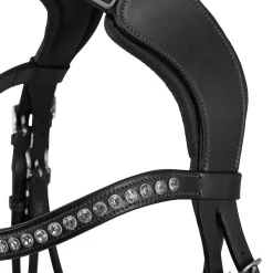 Acavallo Poesia Bridle Calfskin