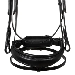 Acavallo Starry Night Calfskin Bridle