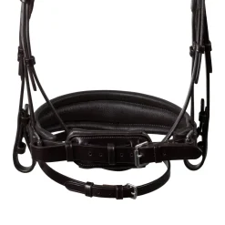 Acavallo Starry Night Calfskin Bridle