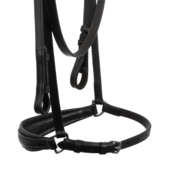 Acavallo Venere Bridle Calfskin