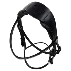 Acavallo Venere Bridle Calfskin