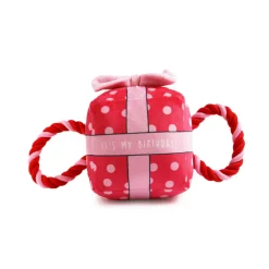 Ancol Pawty Time Birthday Present Dog Toy