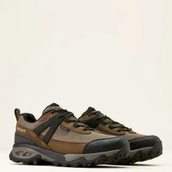 Ariat Men's Traverse Low Waterproof Hiking Shoe