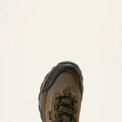 Ariat Men's Traverse Low Waterproof Hiking Shoe