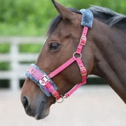 Arma Fleece Lined Lunge Cavesson