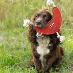 Benji & Flo Crazy Faces Dog Toy