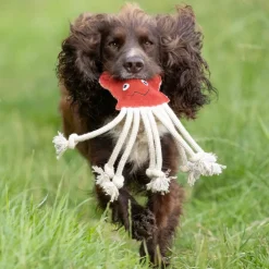Benji & Flo Crazy Faces Dog Toy