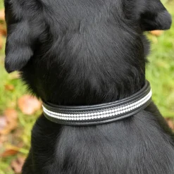Benji & Flo Dazzling Diamante Dog Collar