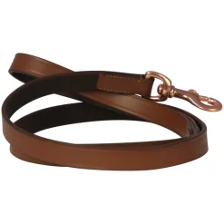 Benji & Flo Deluxe Padded Leather Dog Lead