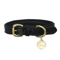 Benji & Flo Deluxe Padded Leather Dog Collar