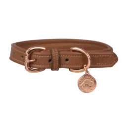Benji & Flo Deluxe Padded Leather Dog Collar