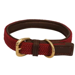 Benji & Flo Interlaced Dog Collar