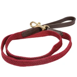 Benji & Flo Interlaced Dog Lead
