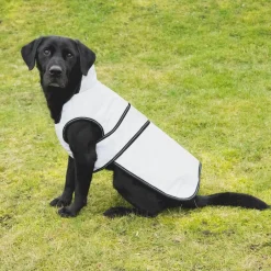 Benji & Flo Silva Reflective Dog Coat