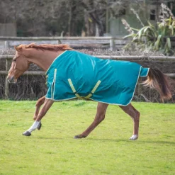 Bridleway Ontario 100g Turnout Rug