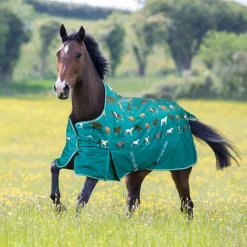 Bridleway Ontario 100g Turnout Rug