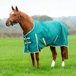 Bridleway Ontario 50g Turnout Rug