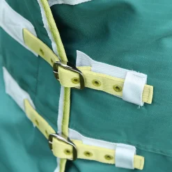 Bridleway Ontario 50g Turnout Rug