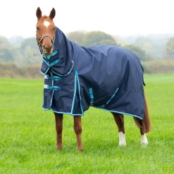 Bridleway Ontario Lite Combo Turnout Rug