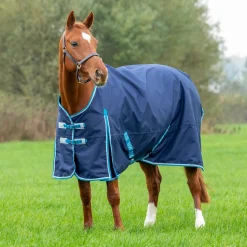 Bridleway Ontario Lite Turnout Rug