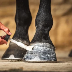 Carr & Day & Martin Cornucrescine Daily Hoof Moisturiser