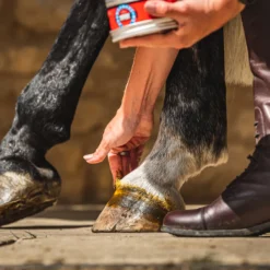 Carr & Day & Martin Cornucrescine Original Hoof Ointment