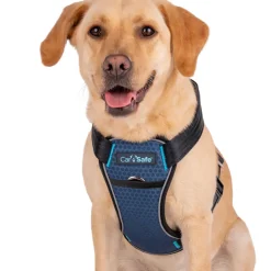 Carsafe Crash Tested Dog Harness