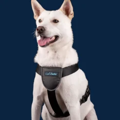 CarSafe Dog Travel Harness
