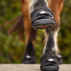 Cavallo Big Foot