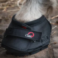 Cavallo Long Ear Boot For Donkeys