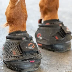 Cavallo Trek Pro Boot