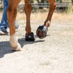 Cavallo Trek Pro Boot