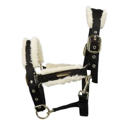 Coldstream Langlee Luxury Head Collar & Lead Rope