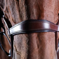Collegiate ComFiTec Crystal Bridle