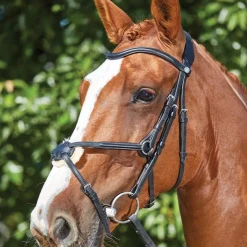 Collegiate ComfiTec Grackle Bridle