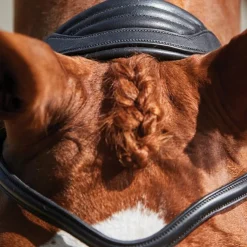 Collegiate ComfiTec Grackle Bridle