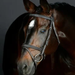 Collegiate Comfitec Opulux Fancy Stitch Padded Hanoverian Bridle