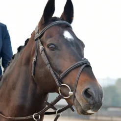 Collegiate Comfitec Opulux Fancy Stitch Padded Hanoverian Bridle