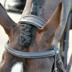 Collegiate Comfitec Opulux Fancy Stitch Padded Hanoverian Bridle