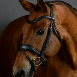 Collegiate Comfitec Opulux Padded Dressage Bridle