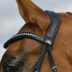 Collegiate Comfitec Opulux Padded Dressage Bridle